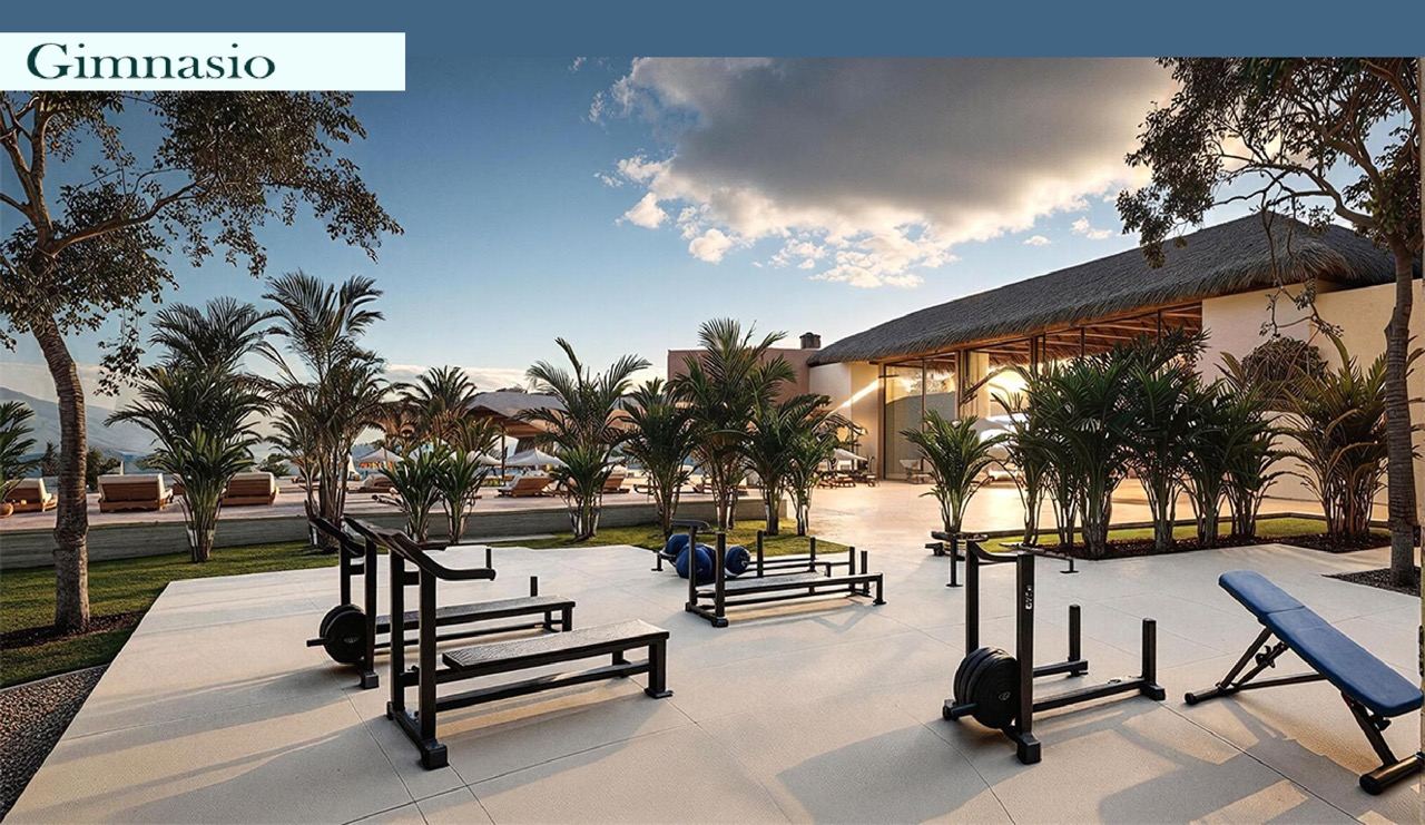 Gimnasio